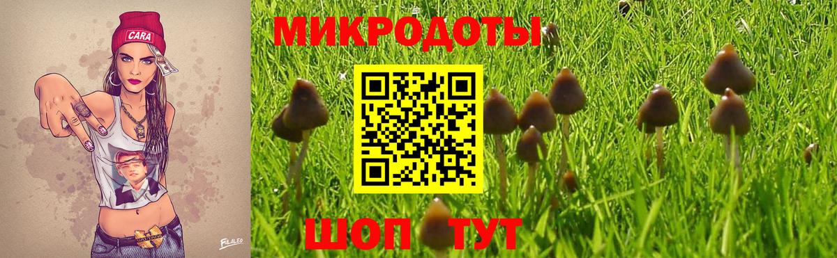 Псилоцибиновые грибы прущие грибы Железноводск